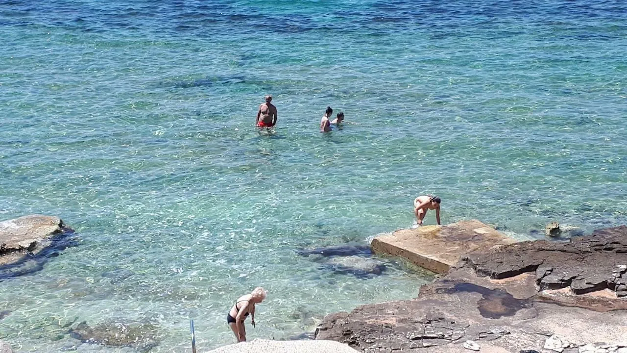 Pipo Apartment Mareda Novigrad